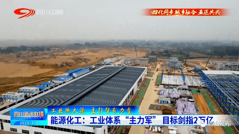 无机化工原料价格波动解析与查询技巧**